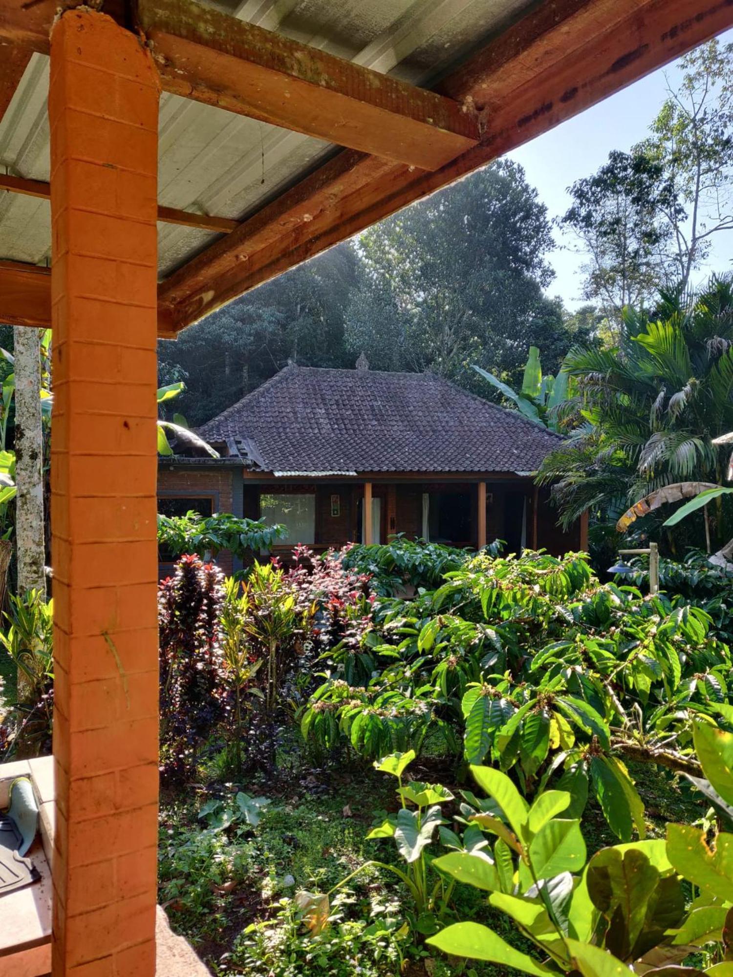 Dina Home Stay At Desa Wisata Wongayagede Jatiluwih Kültér fotó