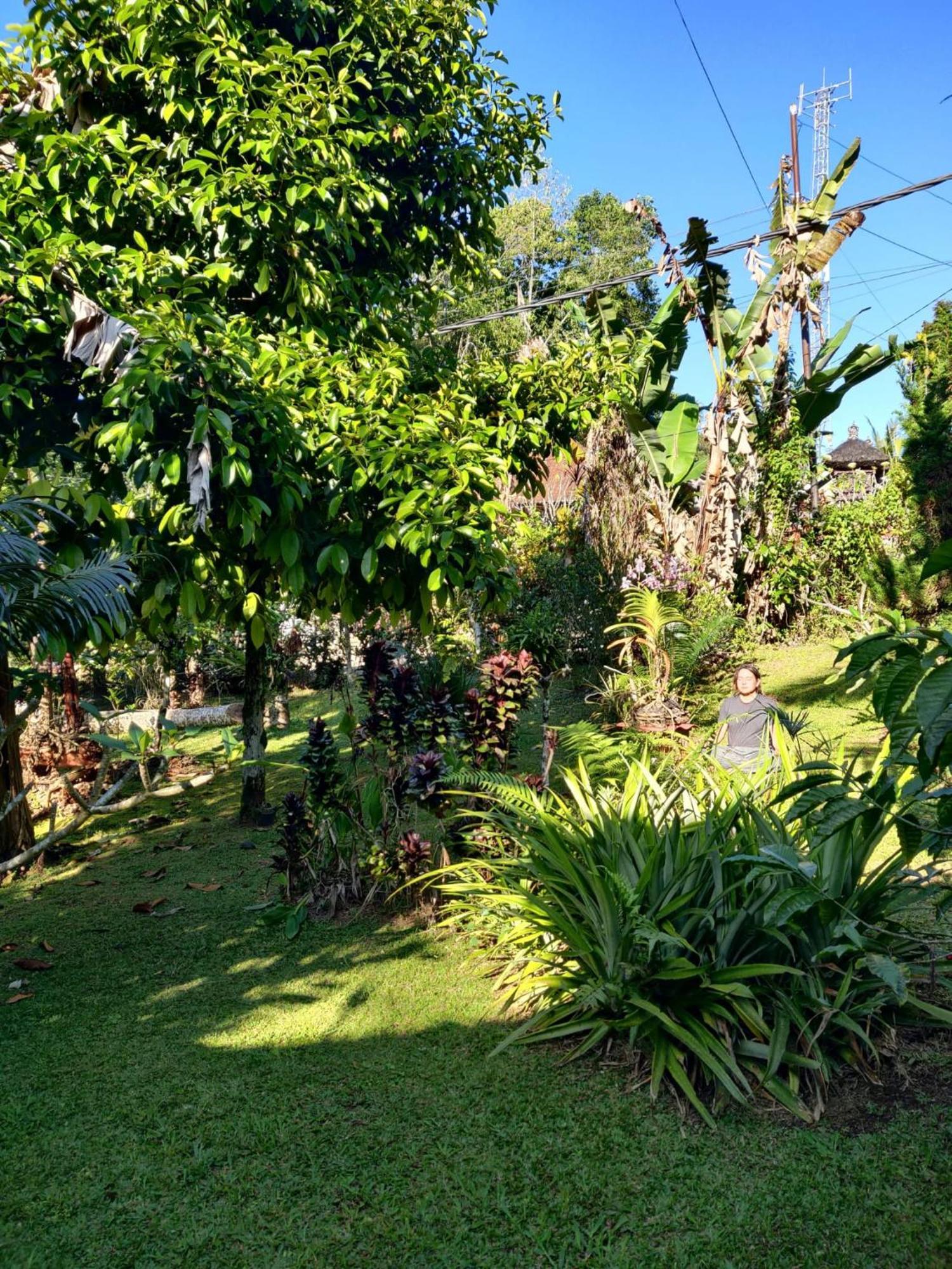 Dina Home Stay At Desa Wisata Wongayagede Jatiluwih Kültér fotó