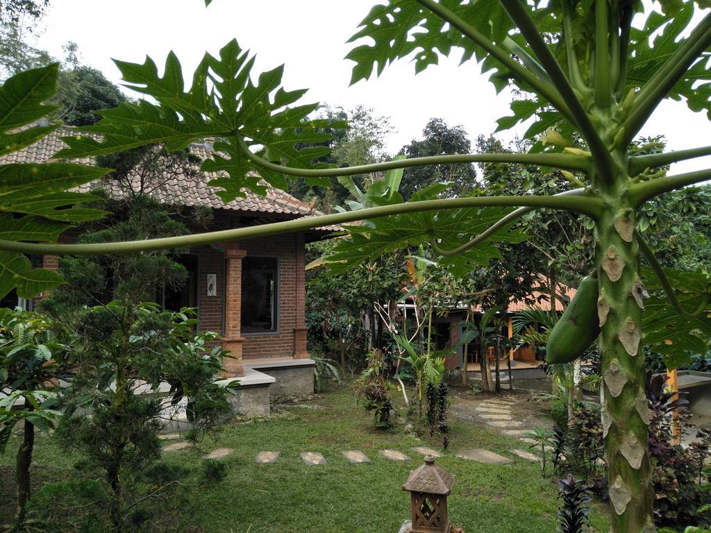 Dina Home Stay At Desa Wisata Wongayagede Jatiluwih Kültér fotó